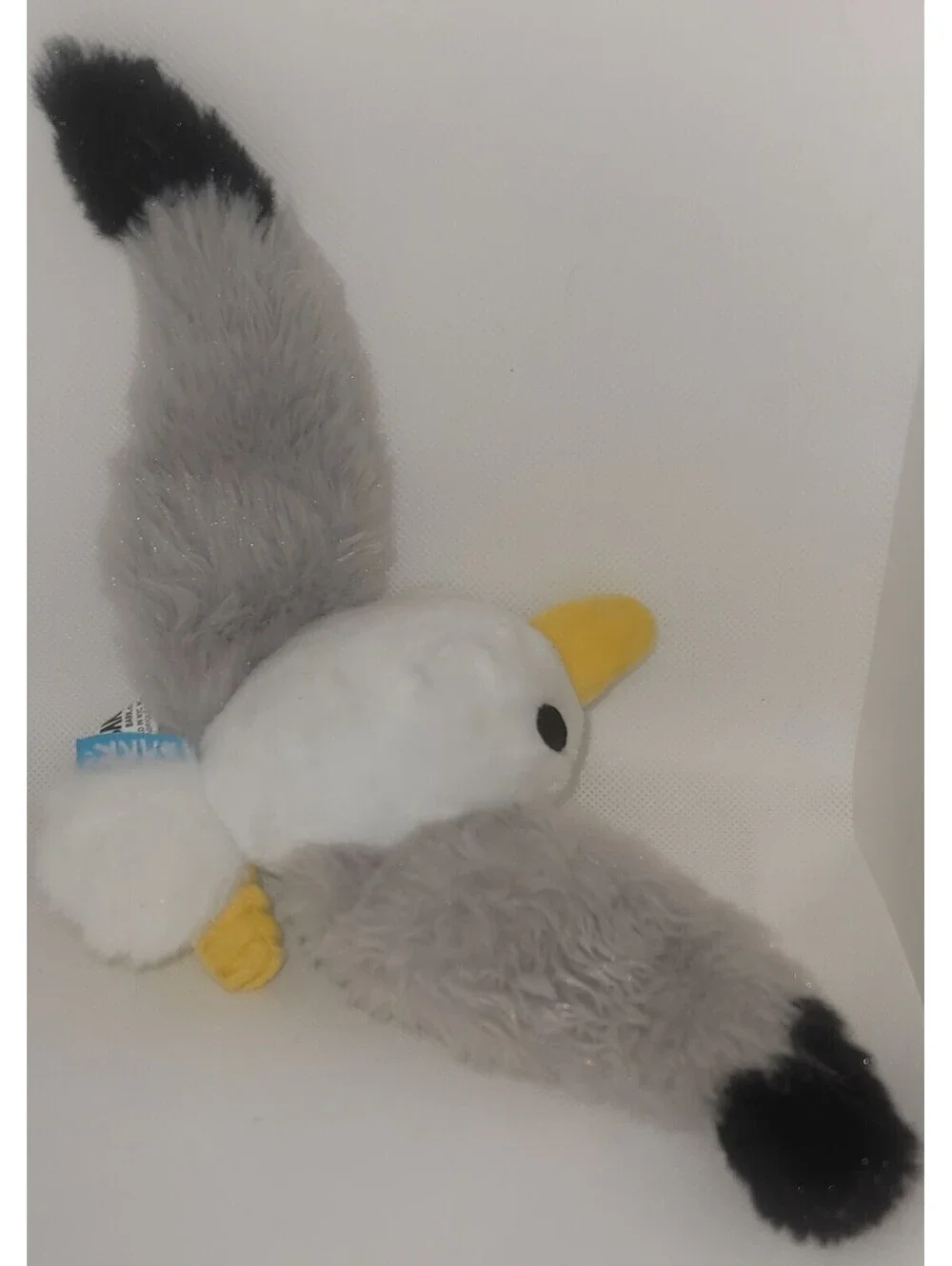 Barkbox seagull bird
